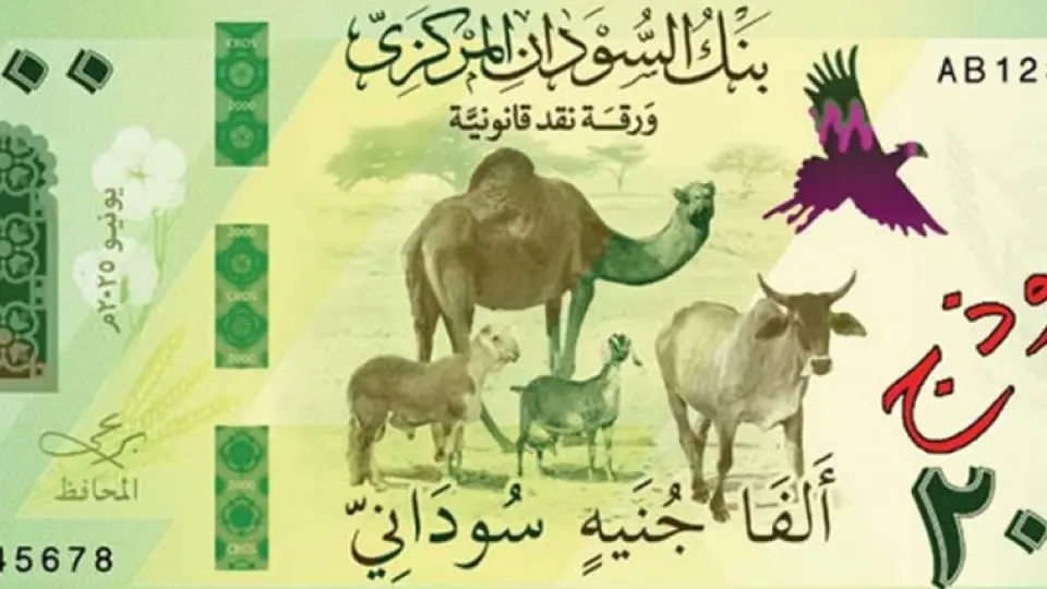 تطور جديد في استبدال العملة بالسودان.. إعلان من البنك المركزي