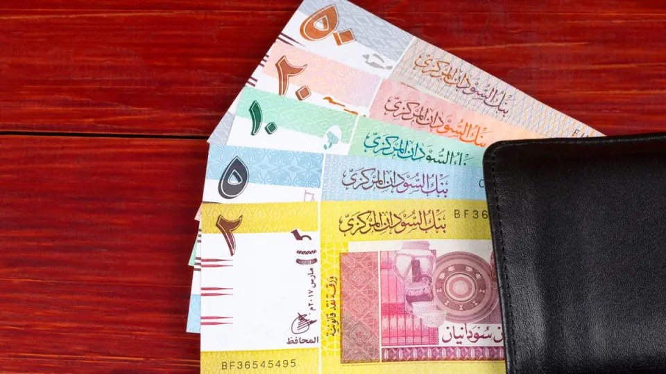 بنك السودان يرفع الحد الأقصى لتمويل المشروعات ويستحدث قطاعات جديدة